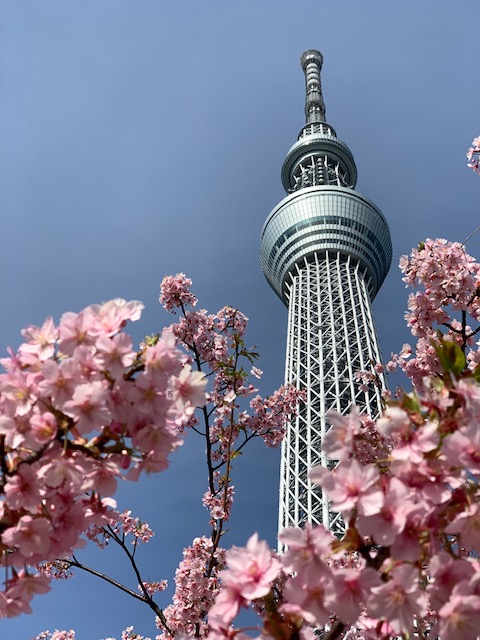 Skytree in Tokyo